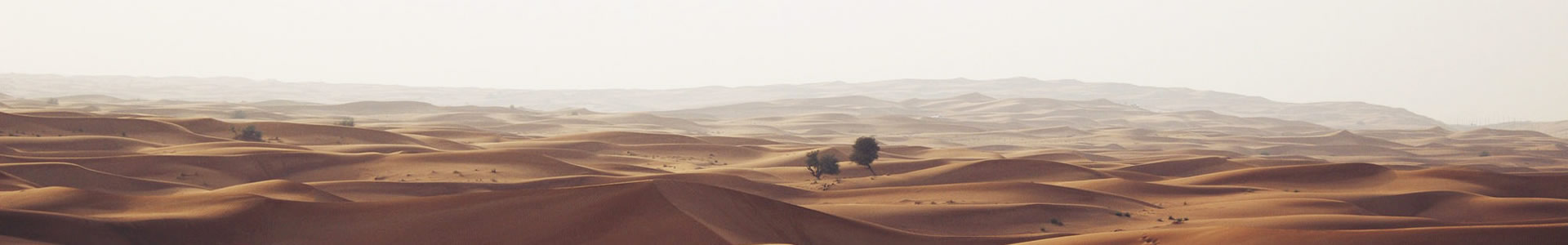 ൺ̫ܹ޹˾